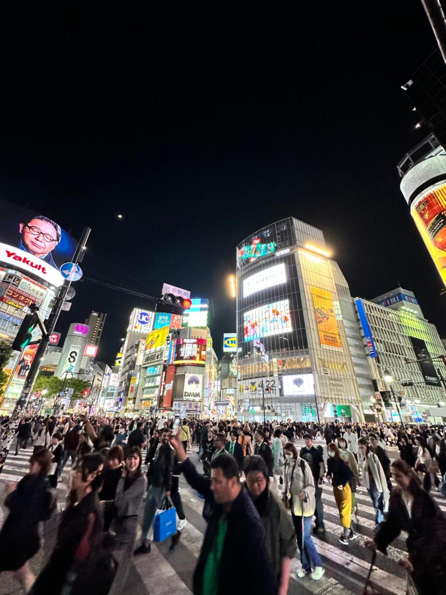渋谷ライオンズマンション道玄坂七 * 东京